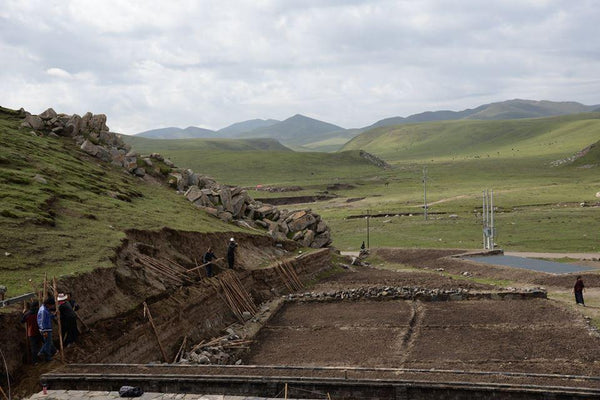 A VEGETABLE PLOT FOR NORLHA