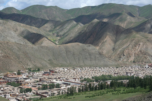 A VISIT TO LABRANG