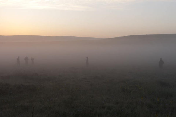 Fog
