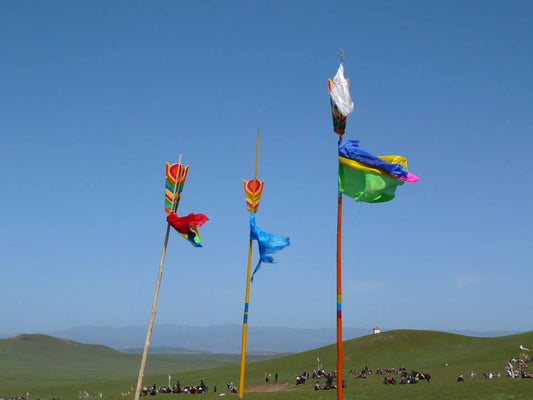 LAPTSE