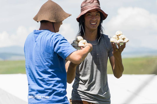 THE FIRST DAY OF THE TIBETAN PICNIC