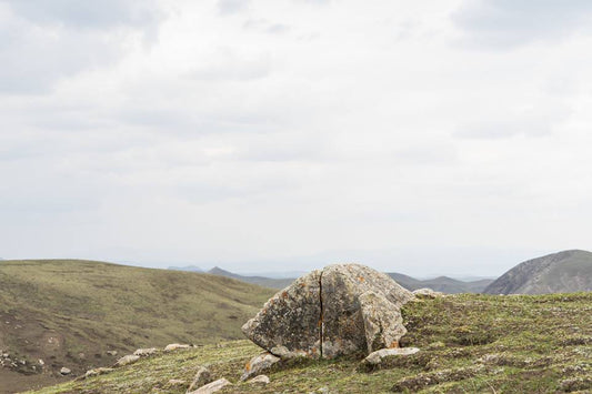 SPRING ON THE PLATEAU