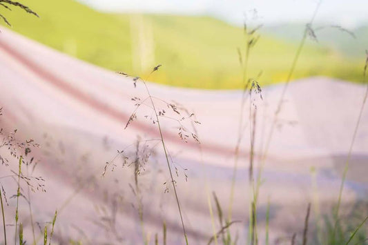 COLOUR FOCUS - PINK