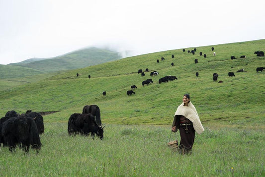 THE TIBETAN PONCHO
