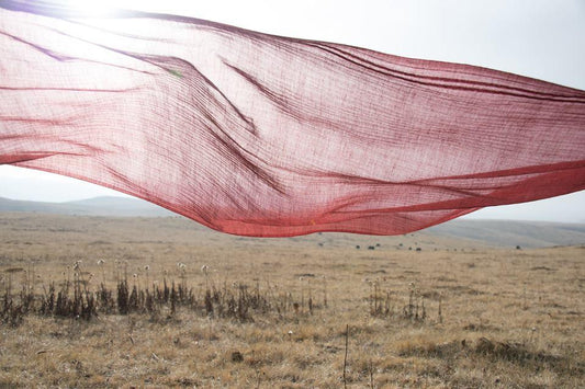 WIND
