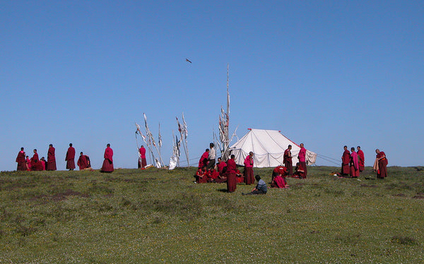 EARTH CLEANSING