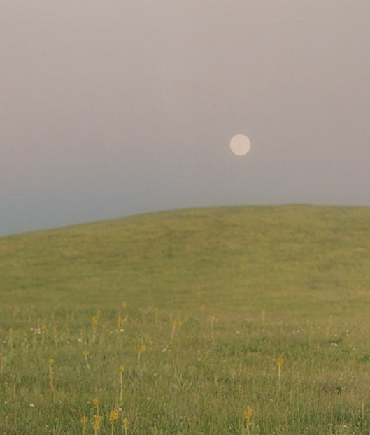 NEW YEAR MESSAGE 2026