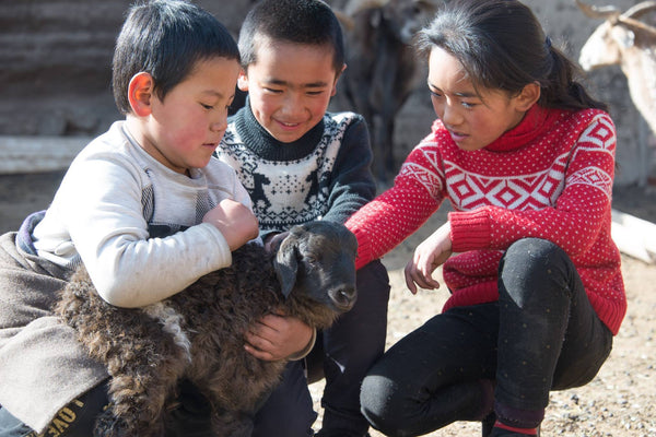 Spring and Baby Animals