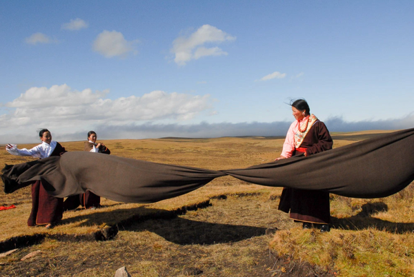 CELEBRATING THE WOMEN AT NORLHA