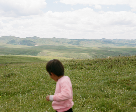THE TIBETAN PICNIC