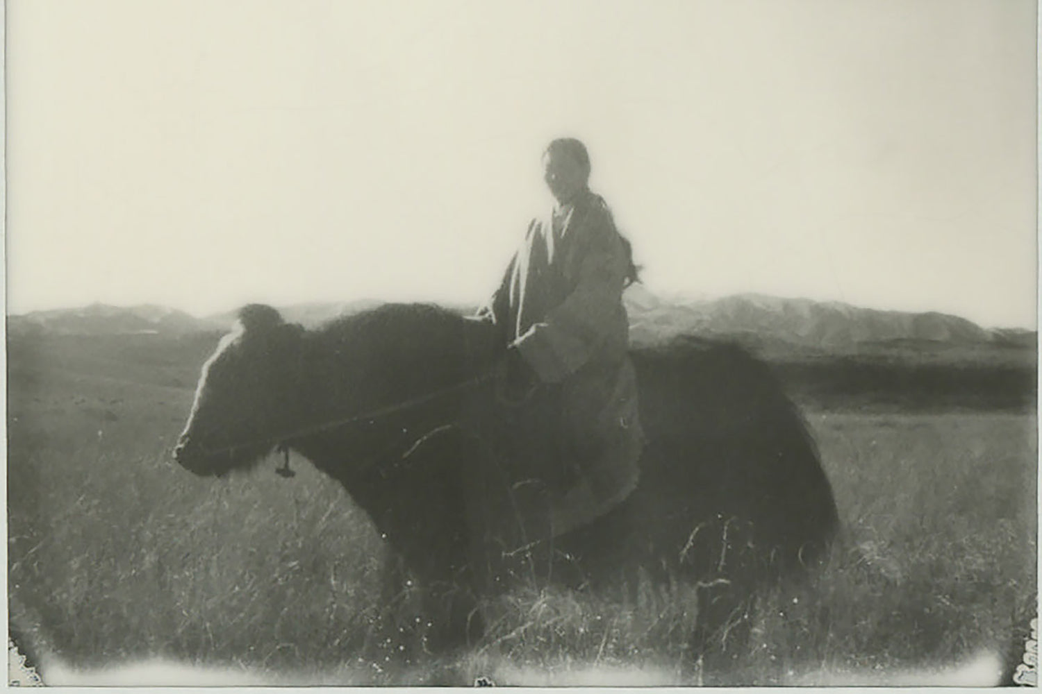 Handwoven Scarves, Shawls & Accessories