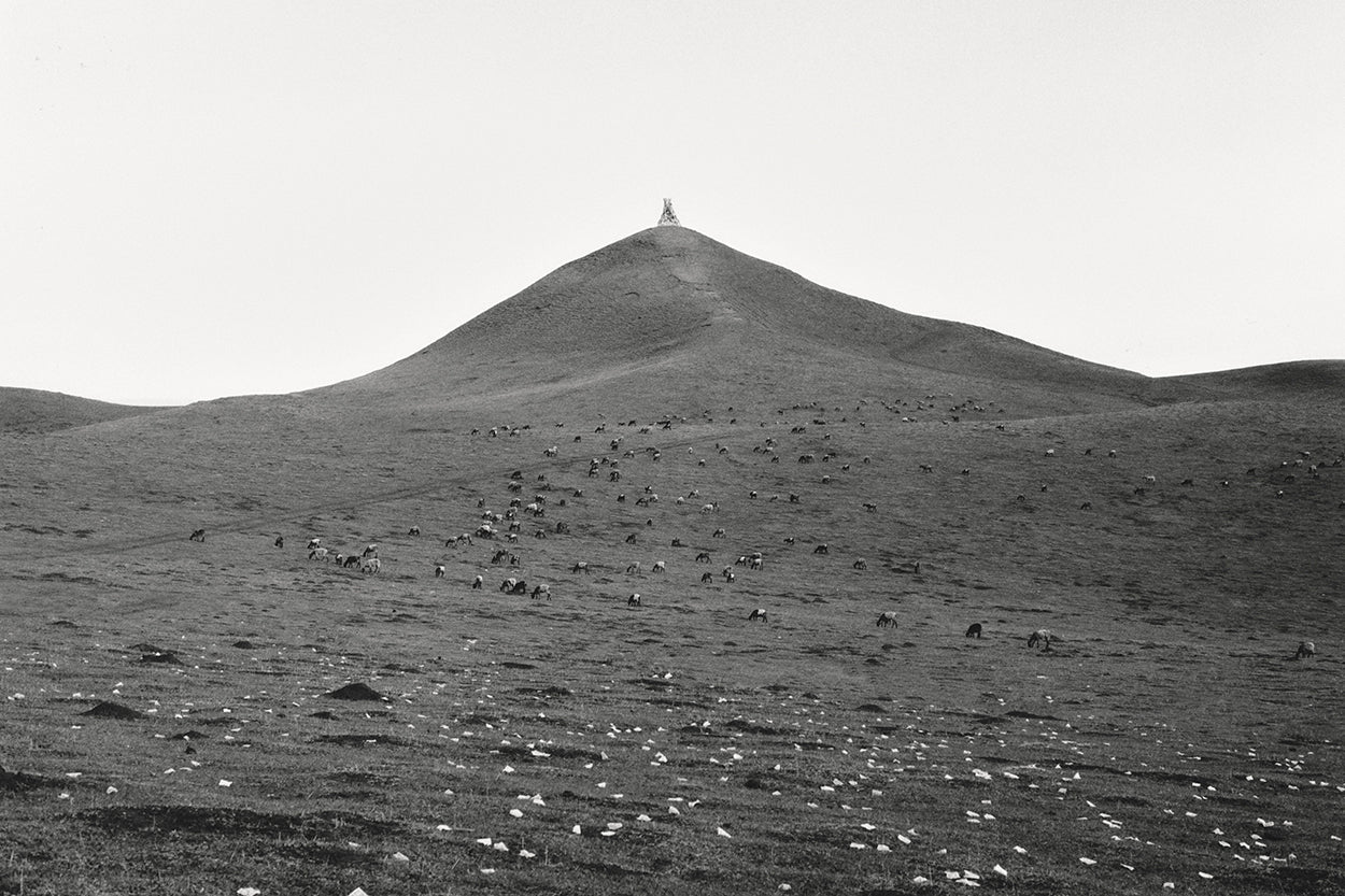 Women's Luxury & Sustainable Yak Wool Clothing