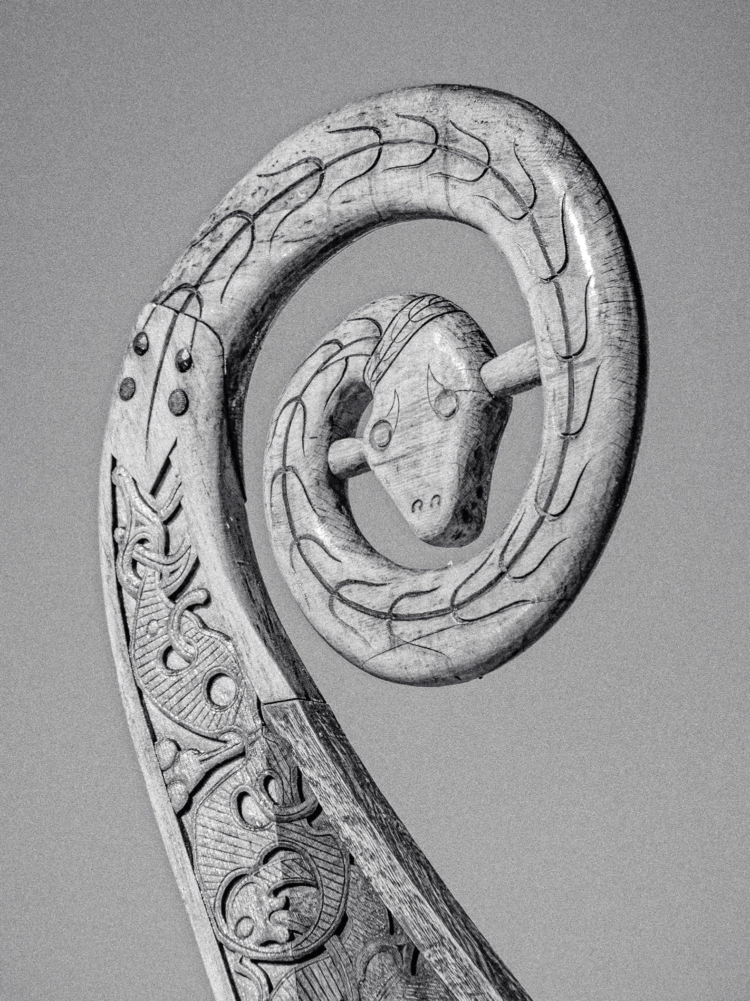 The Wood Snake Set – Norlha