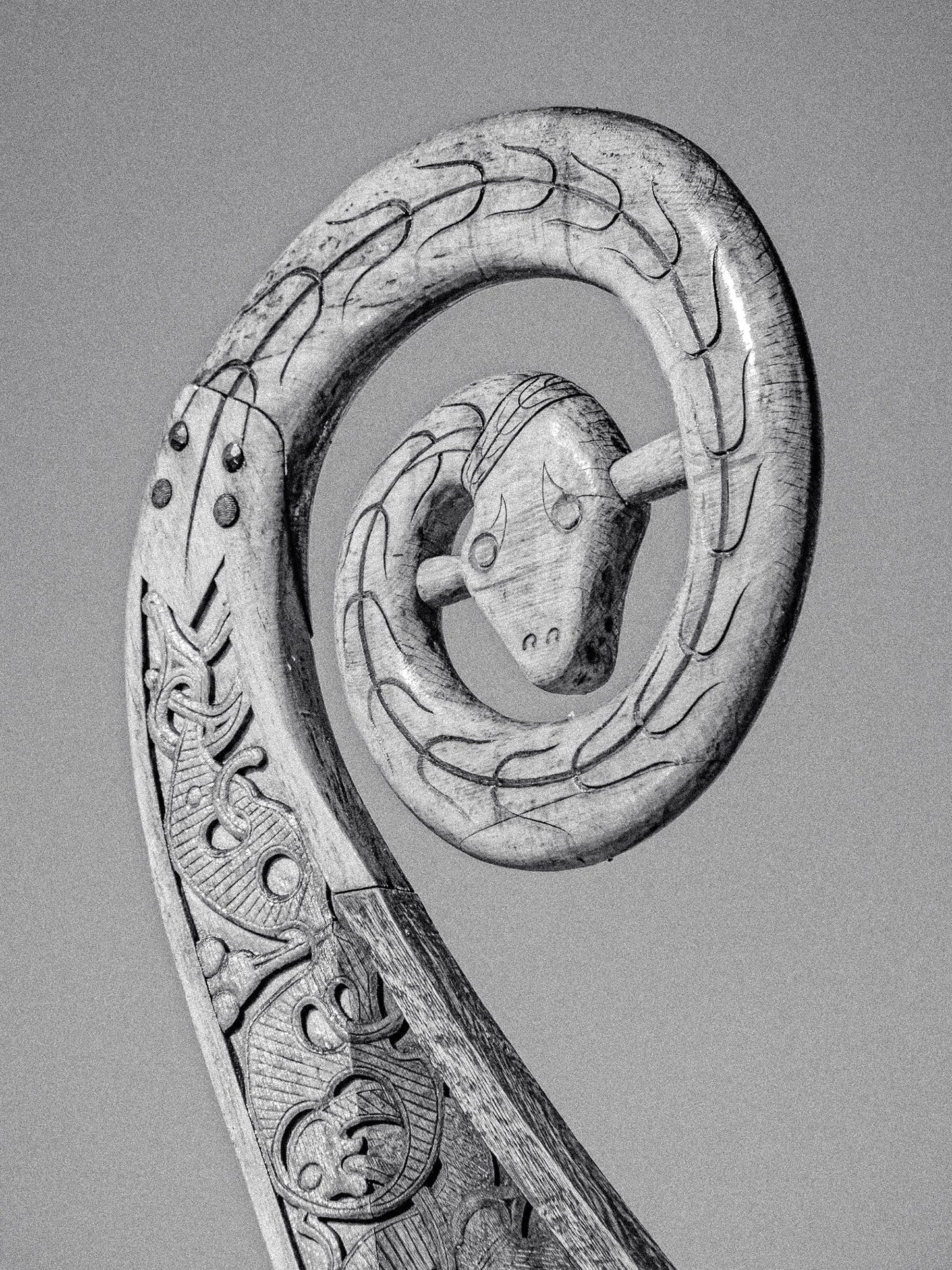 The Wood Snake Set